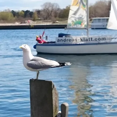 Idyll Im Land Der 1000 Seen