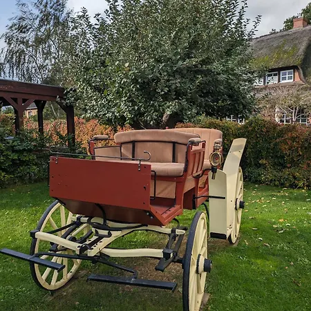 Lejlighed Idyll Im Land Der 1000 Seen