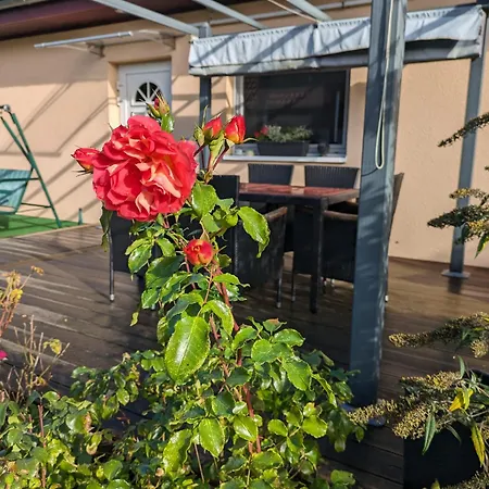 Idyll Im Land Der 1000 Seen