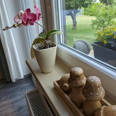 Idyll Im Land Der 1000 Seen Lejlighed Liessow (Ludwigslust-Parchim)